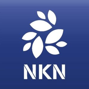 nkn coin nedir