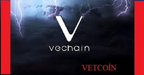 VeChain