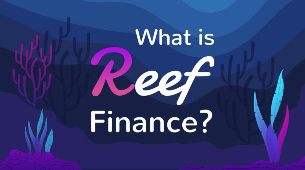 reef finance