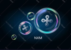 NXM Coin Nedir?