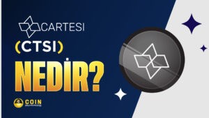 Cartesi Nedir