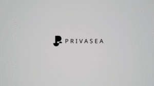 Privasea AI Nedir?