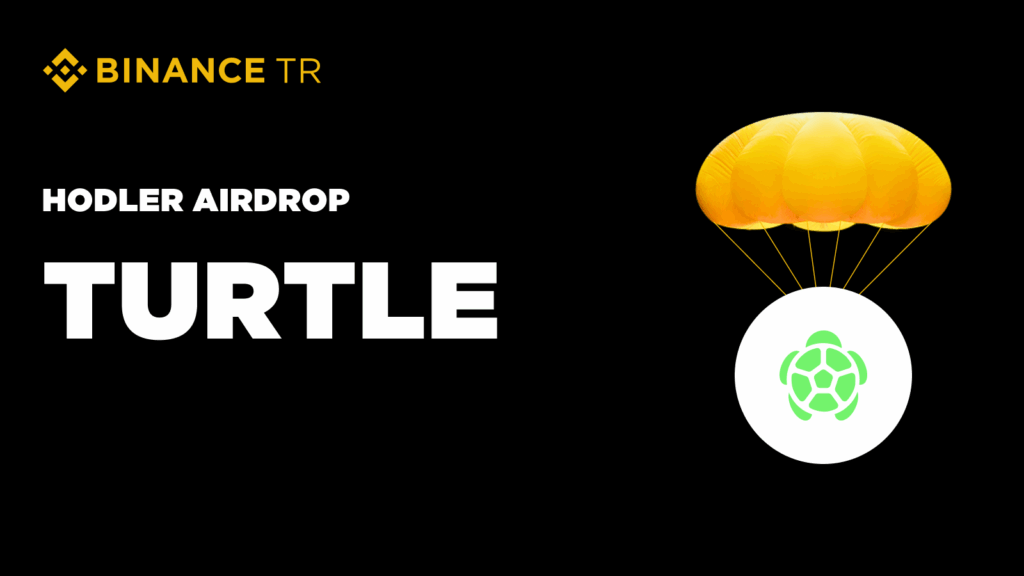 binance turtle