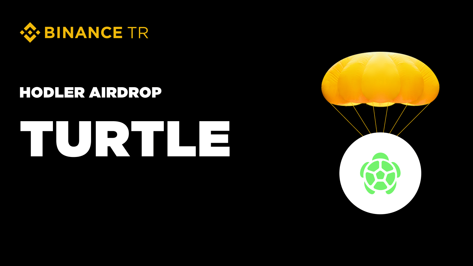 binance turtle › Bitcoin & Airdrop