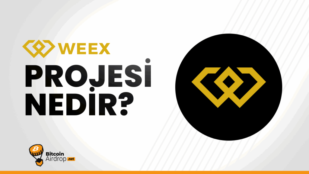 weex token (WXT) nedir