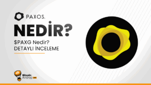 PAXG, fiziksel altını zincir üzerine taşır.