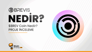 brevis nedir, brev coin, brev token, brev tokenomics, brev yatırımcı