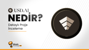 USD.AI chip nedir