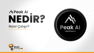 Peak AI (PEAK) Nedir?
