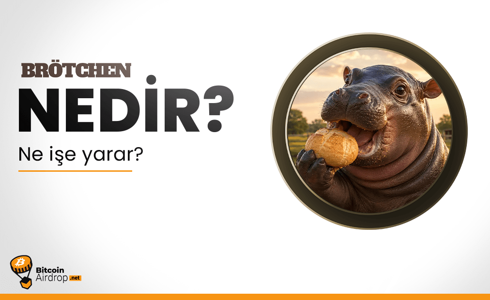 brotchen coin