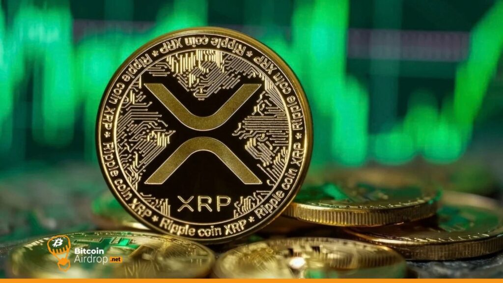 xrp ripple